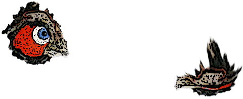 ogen